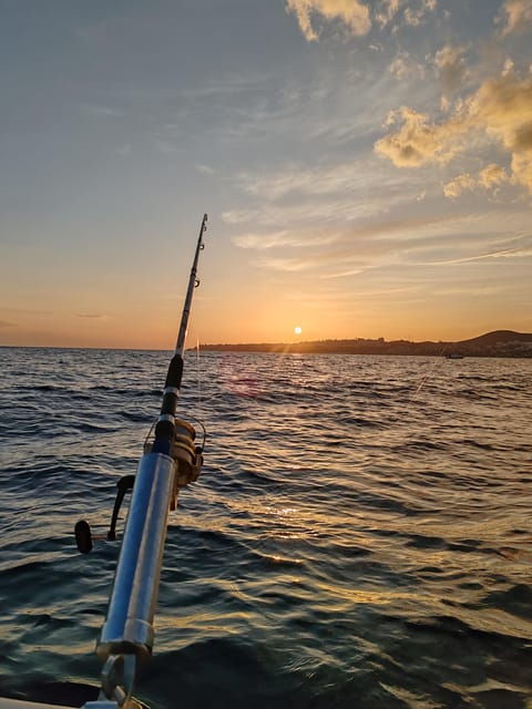 fuengirola-bottom-fishing-with-jigging-and-squid-2-4-and-6-hours