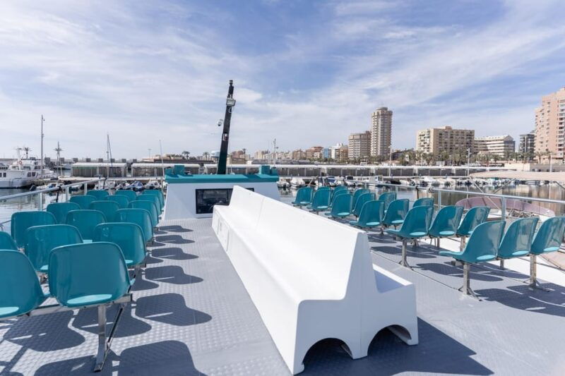 fuengirola-catamaran-tour-to-spot-dolphins