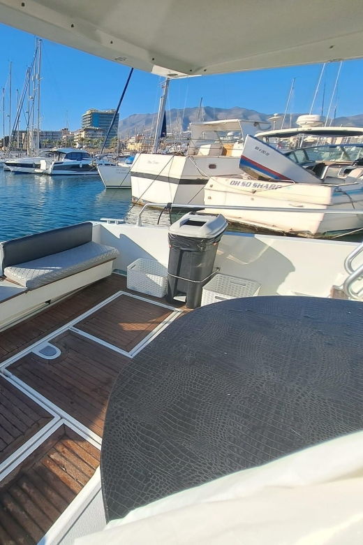 fuengirola-dolphin-spotting-tour