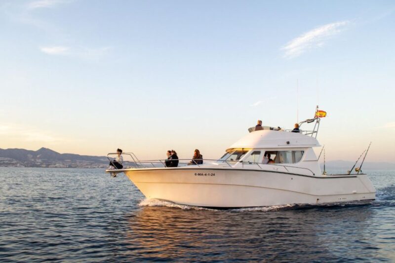 Fuengirola: Dolphin Watching Boat Trip  Fun for All Ages - Key Points