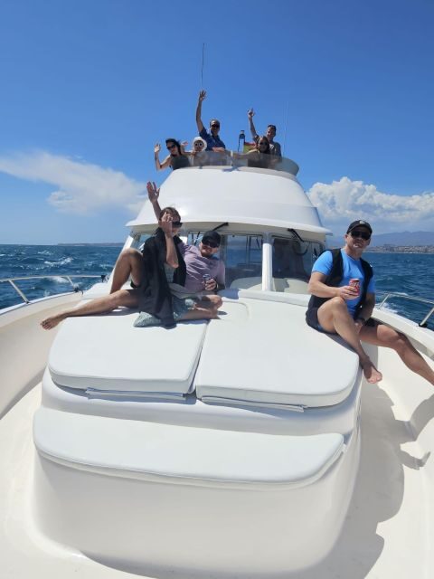 Fuengirola: Dolphin Watching Boat Trip  Fun for All Ages - Conclusions