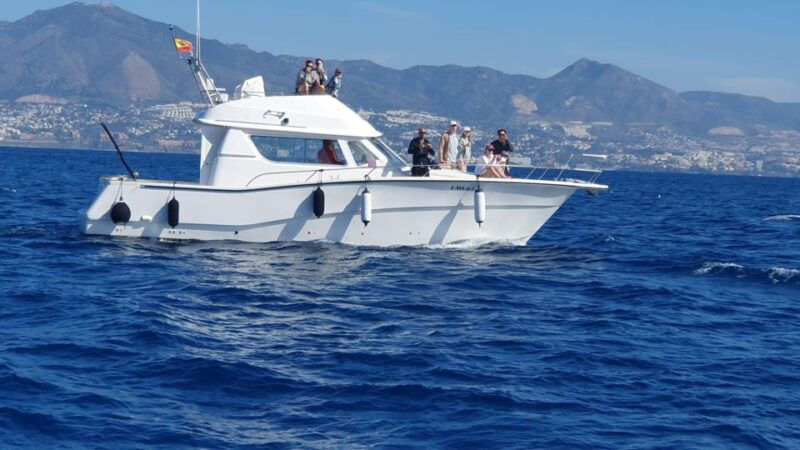 fuengirola-dolphin-watching-excursion-with-refreshments