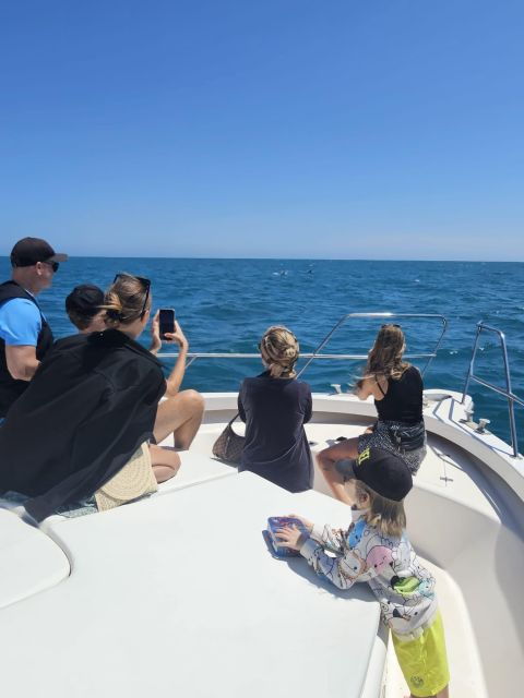 fuengirola-dolphin-watching-excursion-with-refreshments