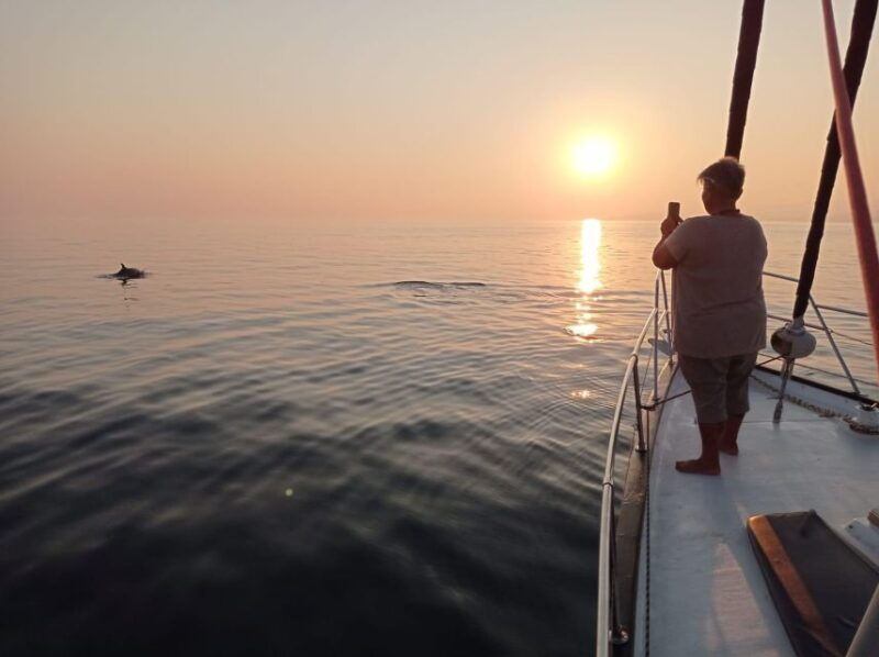 fuengirola-dolphin-watching-sailing-tour-with-drinks
