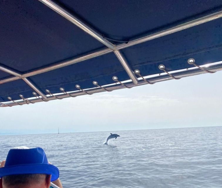 fuengirola-fantastic-dolphin-watching-yacht-tour-with-drink