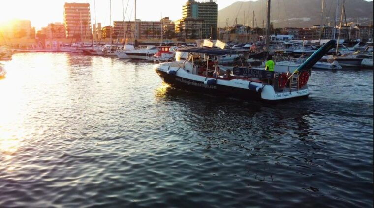 fuengirola-fantastic-dolphin-watching-yacht-tour-with-drink