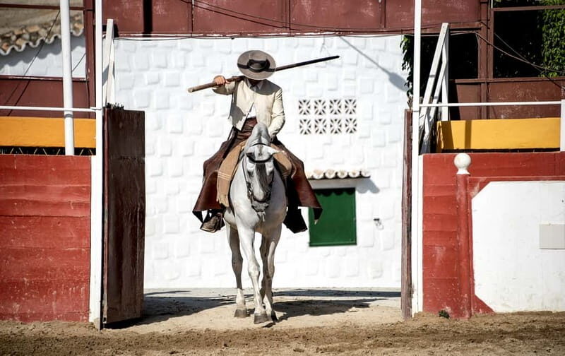 Fuengirola: Spanish Horse Show with Optional Dinner/Flamenco - The Experience in Detail