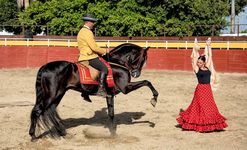 Fuengirola: Spanish Horse Show with Optional Dinner/Flamenco - Value & Overall Impression