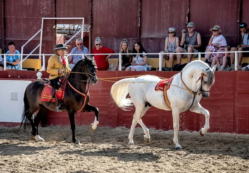 Fuengirola: Spanish Horse Show with Optional Dinner/Flamenco - Final Thoughts