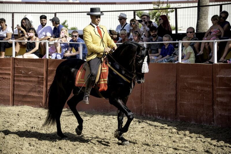 fuengirola-spanish-horse-show-with-optional-dinner-flamenco