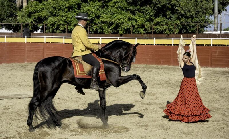 fuengirola-spanish-horse-show-with-optional-dinner-flamenco