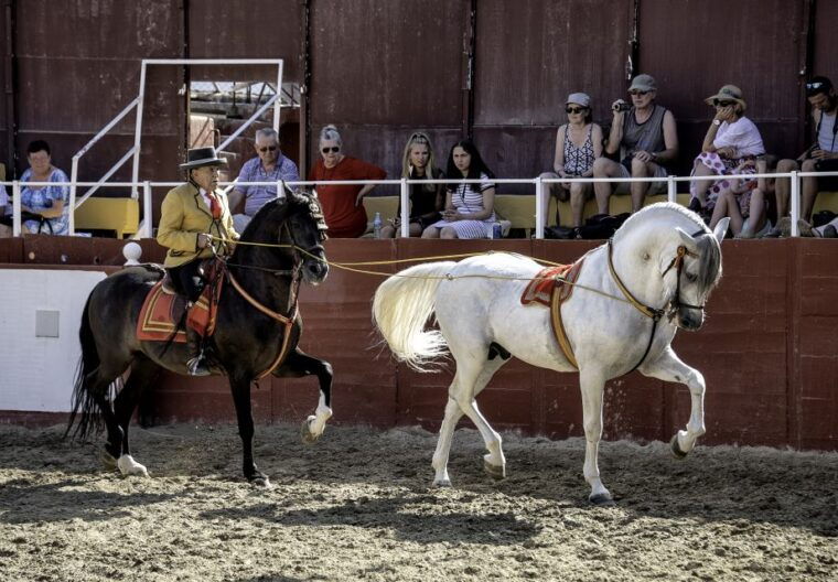fuengirola-spanish-horse-show-with-optional-dinner-flamenco