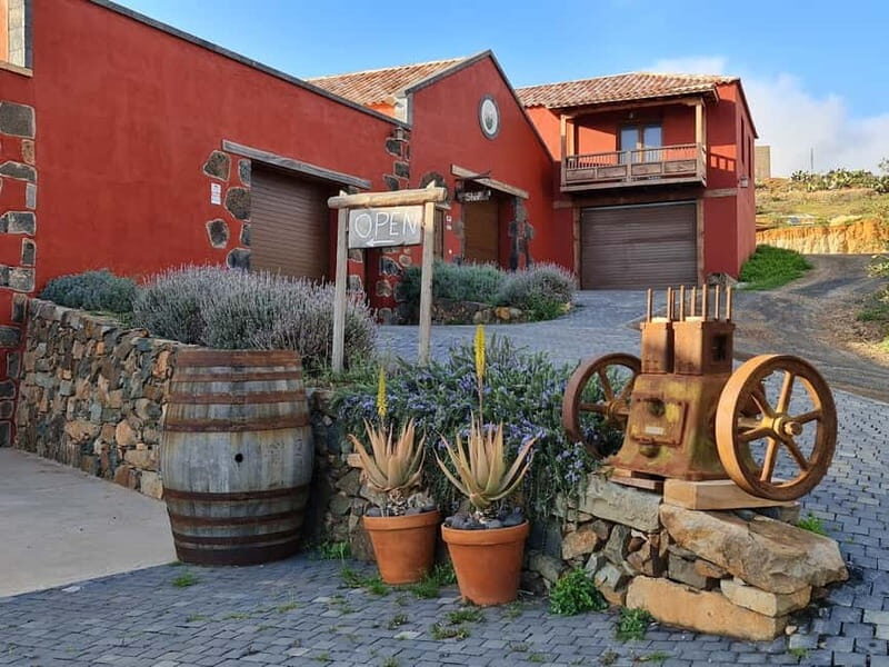 Fuerteventa: Ajuy Pirate Caves & Aloe Factory Half-Day Trip - Inside the Aloe Vera Farm: Nature’s Healing Power