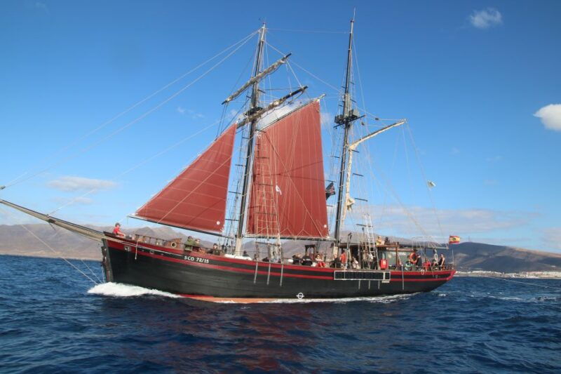 fuerteventura-4-hour-pirate-sailing-adventure