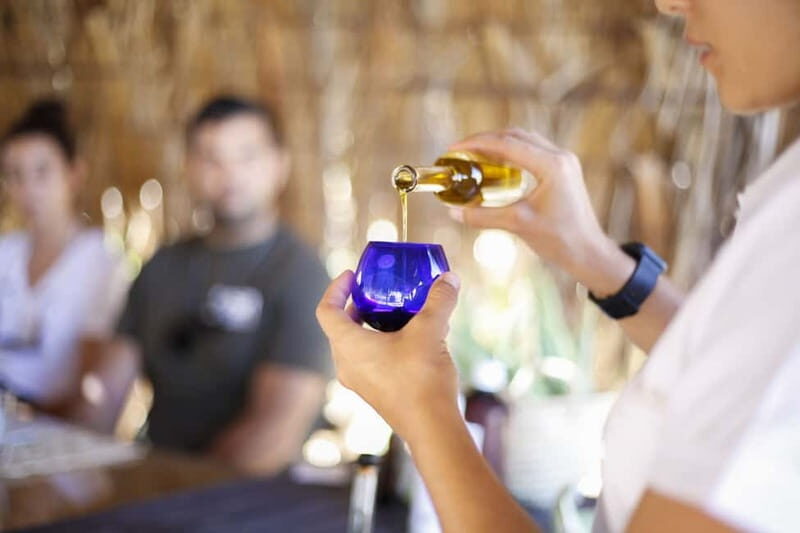 Fuerteventura Aloe & Olivo Tour with Optional Lunch - Authenticity and Value
