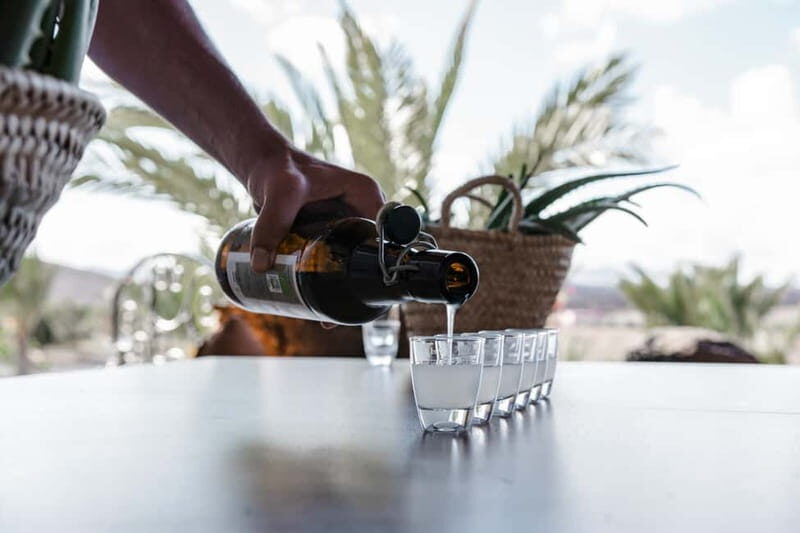 Fuerteventura Aloe & Olivo Tour with Optional Lunch - FAQ