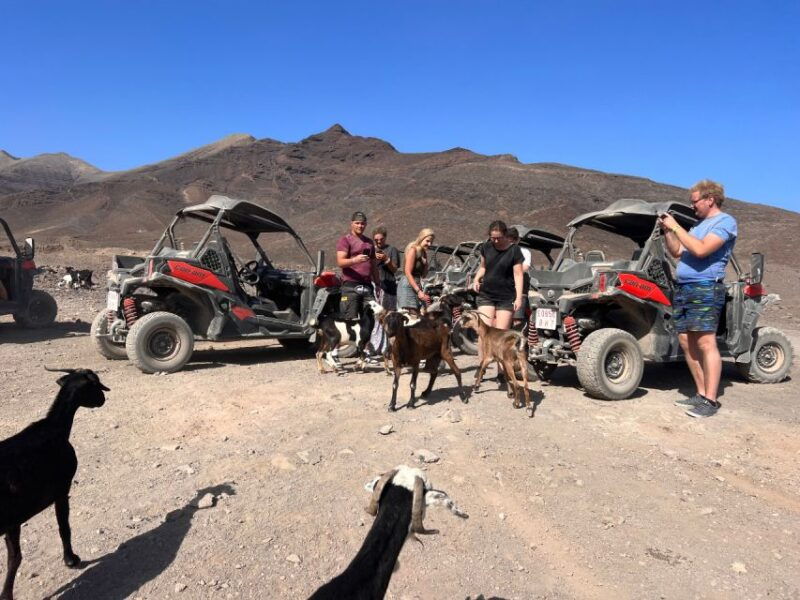 fuerteventura-buggy-tour-in-punta-de-jandia