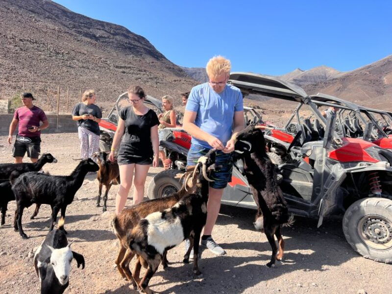 fuerteventura-buggy-tour-in-punta-de-jandia