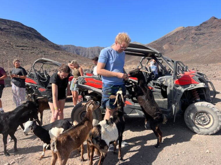 fuerteventura-buggy-tour-in-punta-de-jandia