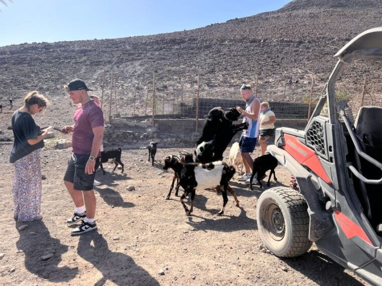 fuerteventura-buggy-tour-in-punta-de-jandia
