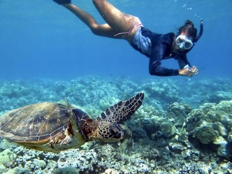 fuerteventura-catamaran-excursion-to-lobos-island