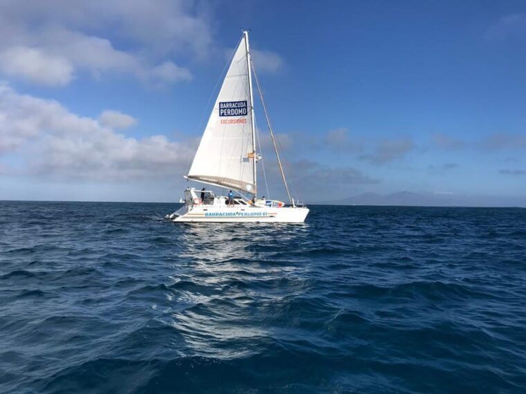 fuerteventura-catamaran-excursion-to-lobos-island