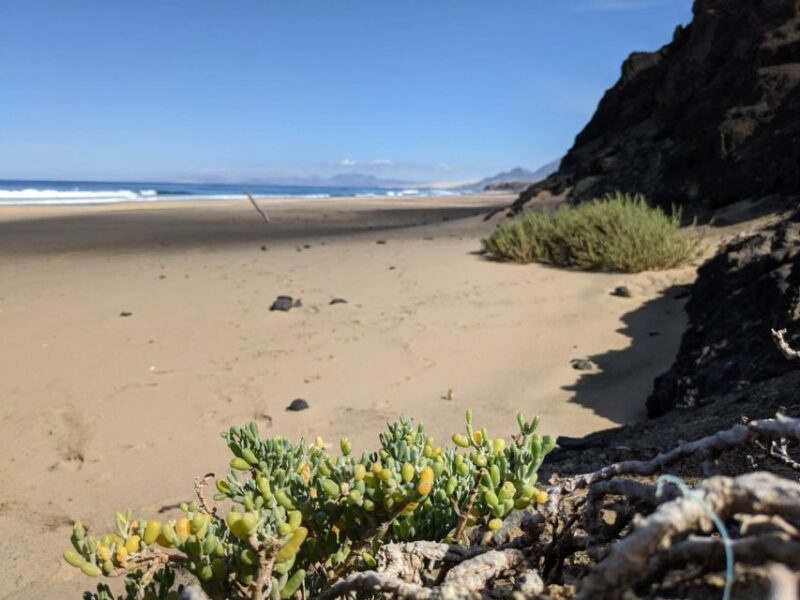 Fuerteventura: Cofete Guided Hiking Tour and Picnic - Frequently Asked Questions