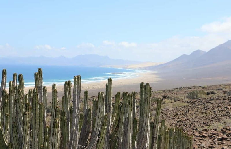Fuerteventura: Cofete Safari - What’s Included, What’s Not