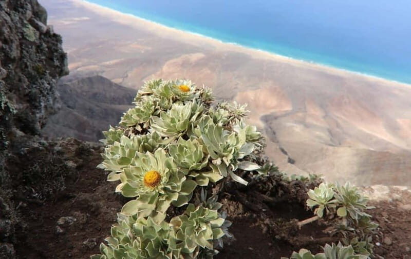 Fuerteventura: Cofete Safari - Final Thoughts