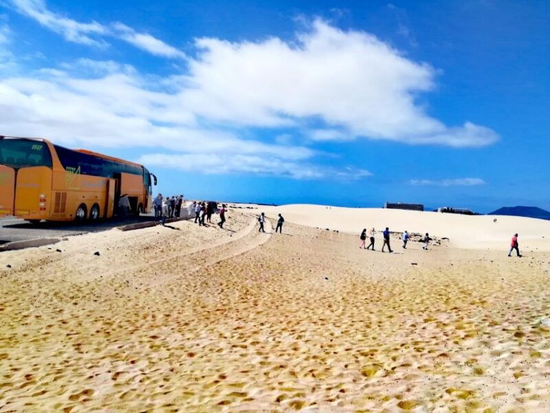 fuerteventura-corralejo-sand-dunes-guided-shore-excursion