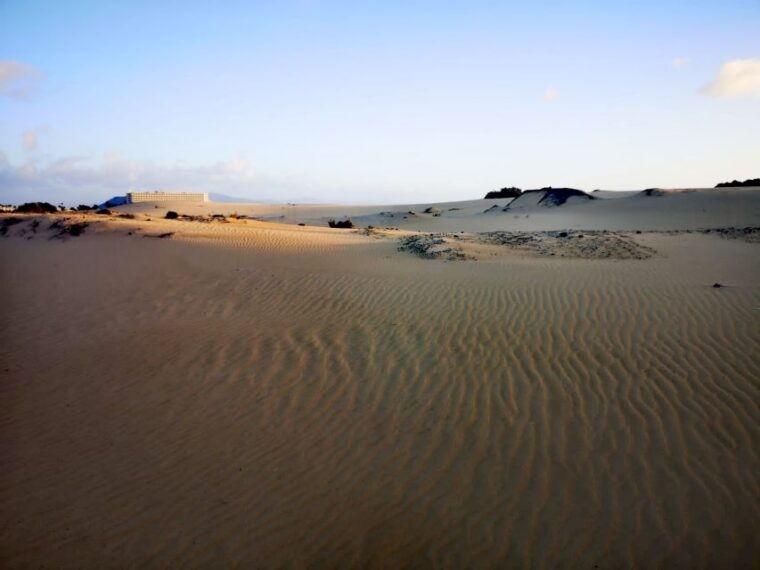 fuerteventura-corralejo-sand-dunes-guided-shore-excursion