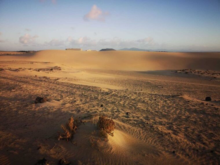 fuerteventura-corralejo-sand-dunes-guided-shore-excursion