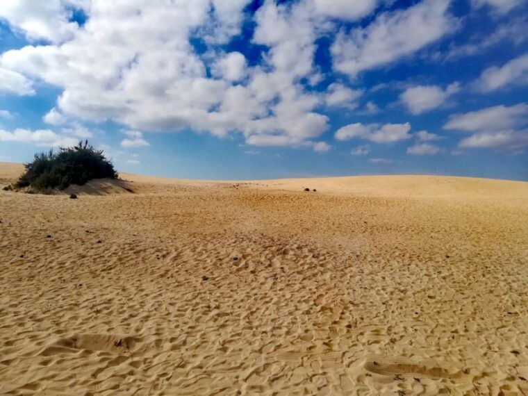 fuerteventura-corralejo-sand-dunes-guided-shore-excursion