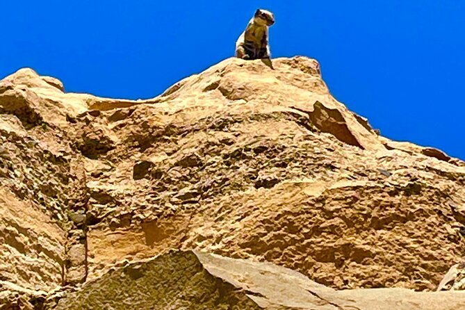 fuerteventura-discover-2-in-1-guided-islandtour-all-hotspots