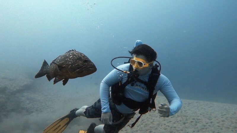 fuerteventura-discover-scuba-diving