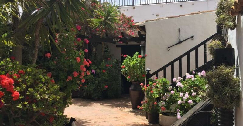 fuerteventura-discovery-tour
