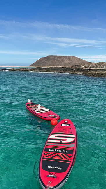 Fuerteventura: Dolphin watching and Lobo Island Combo Cruise - Key Points  