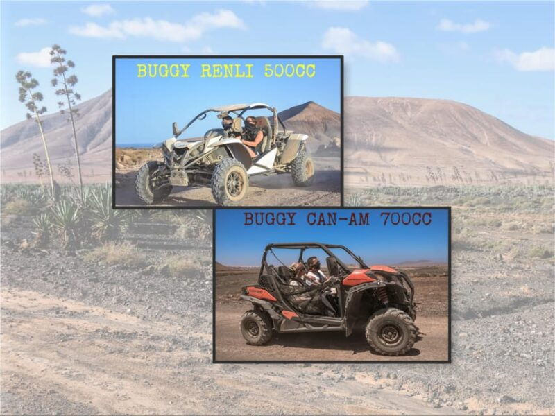 fuerteventura-dune-buggy-tour-in-northern-fuerteventura