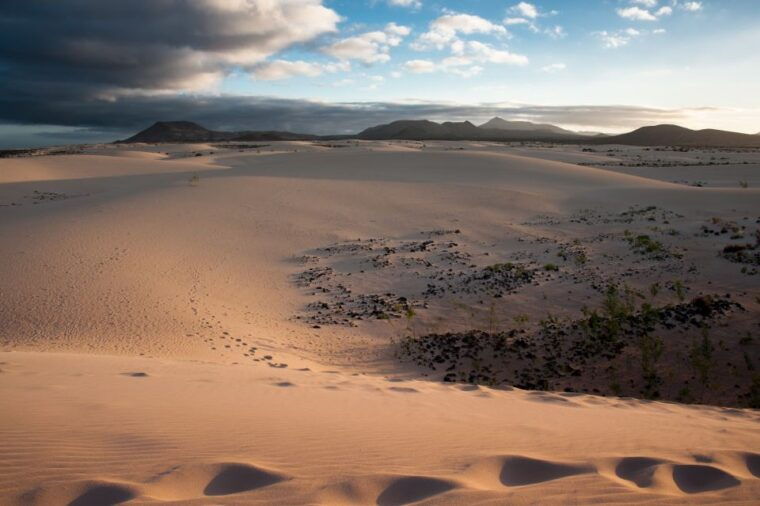 fuerteventura-dune-buggy-tour-in-northern-fuerteventura