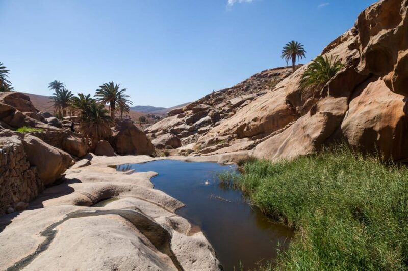 fuerteventura-explore-the-natural-wonders-of-the-island