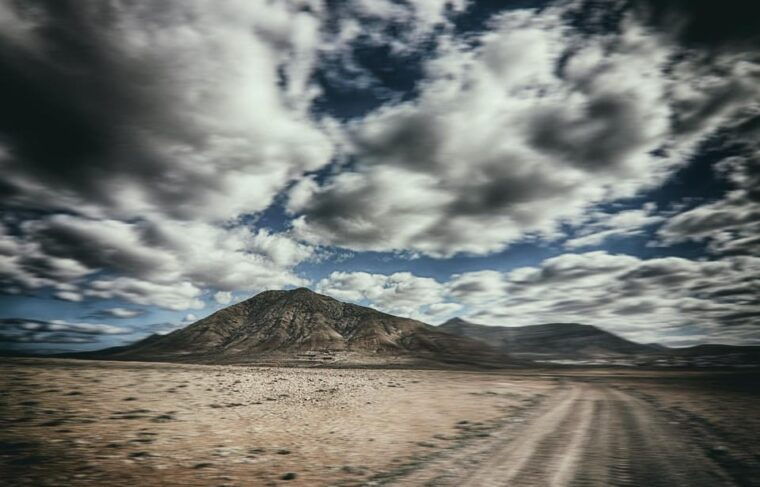 fuerteventura-flavors