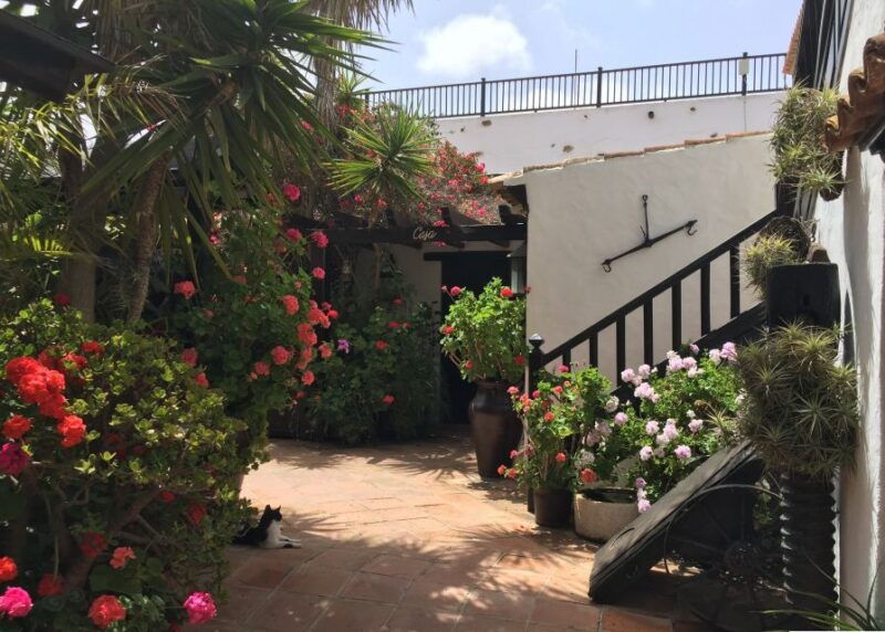 fuerteventura-full-day-tour-with-lunch