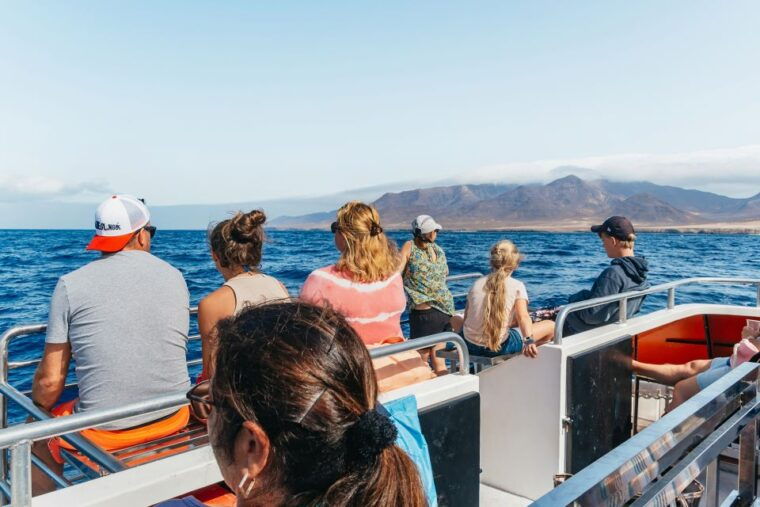 fuerteventura-glass-bottom-boat-cruise-with-lunch-drinks