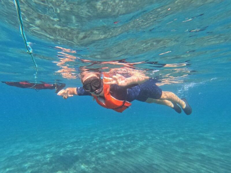 fuerteventura-guided-snorkeling-in-la-lajita-with-pickup