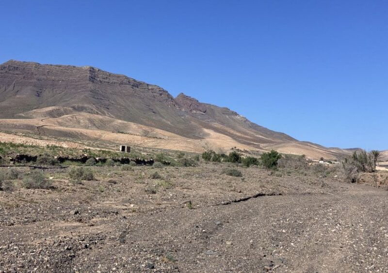 fuerteventura-guided-trekking-tour-with-island-goats