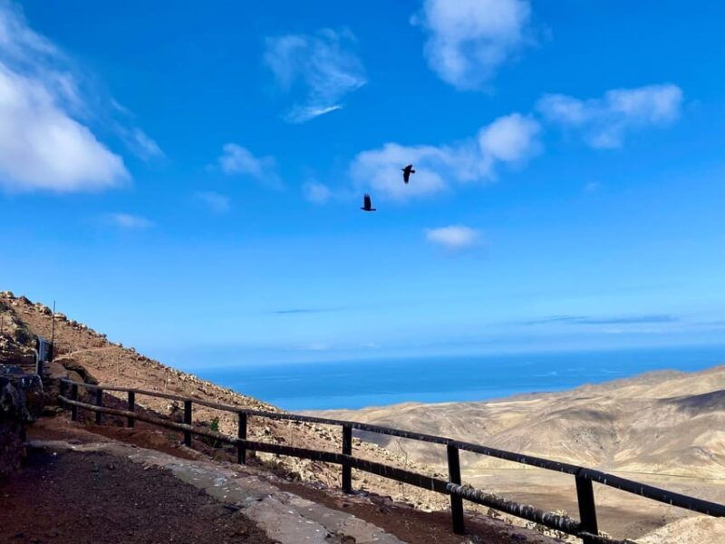 fuerteventura-hiking-up-the-holy-mountain-el-cardon