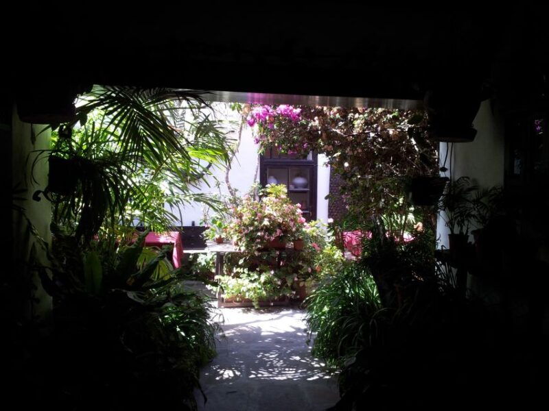 fuerteventura-island-tour-by-minibus