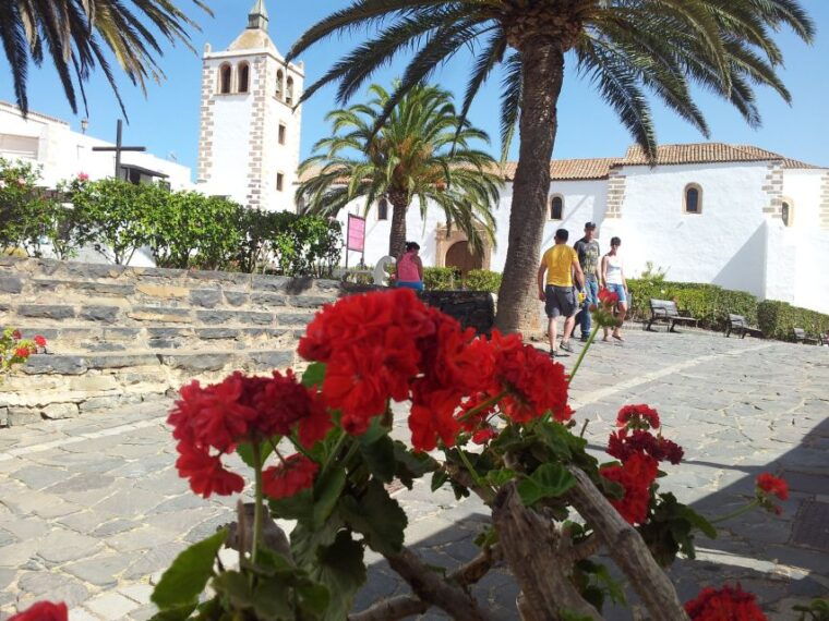 fuerteventura-island-tour-by-minibus