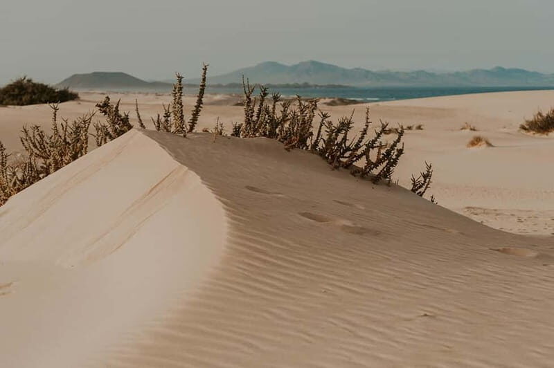 Fuerteventura North: 4h tour for cruise passengers - Frequently Asked Questions