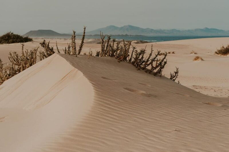 fuerteventura-north-cruise-tours-with-photo-shoots